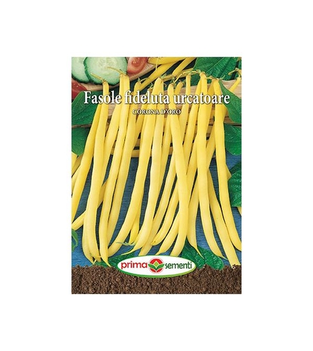FASOLE URCATOARE CORONA D ORO 70G