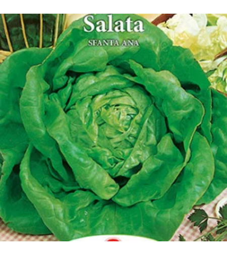 PRIMA SEMENTI SALATA SFANTA ANA 3GR
