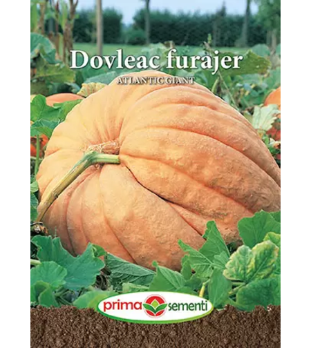PRIMA SEMENTI DOVLEAC FURAJER ATLATIC GIGANT 1GR