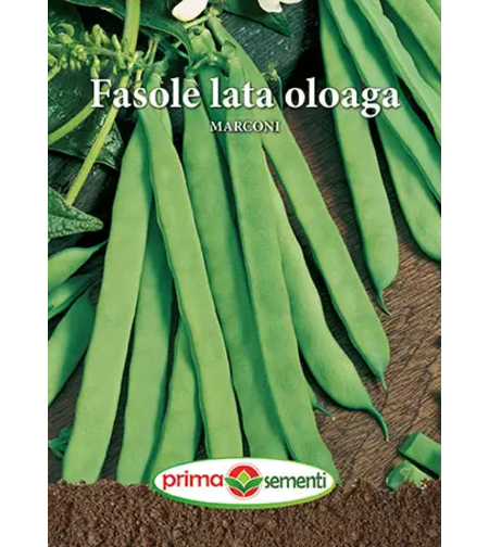 FASOLE LATA OLOAGA MARCONI 100GR