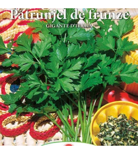 PATRUNJEL DE FRUNZE GIGANTE D ITALIA 5GR