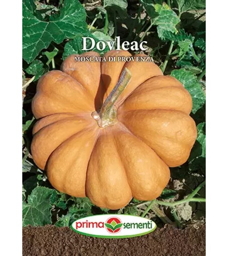 DOVLEAC MOSCATA DI PROVENZA 2GR.
