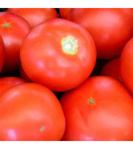 TOMATE BUZAU 1600 0.25GR