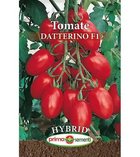 TOMATE DATTERINO F1  0.3GR