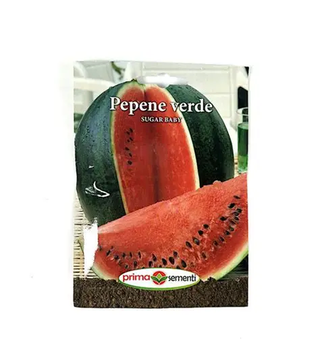 PRIMA SEMENT PEPENE VERDE SUGAR BABY 2GR