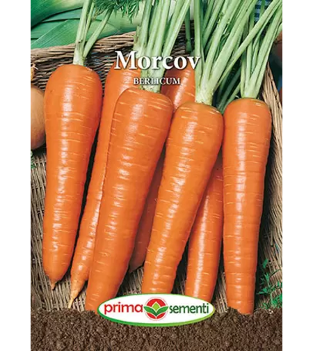 PRIMA SEMENTI MORCOV BERLICUM 5GR