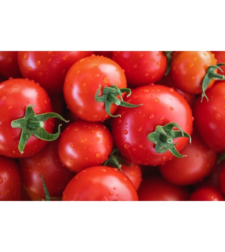 PRIMA SEMINTI TOMATE PARADICSOM ACE 55 0.7 GR