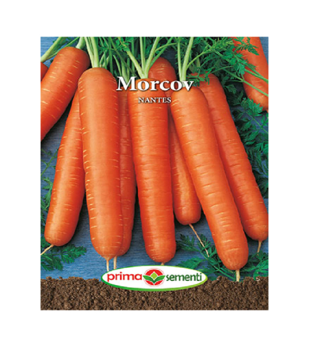 PLIC MORCOV NANTES 5GR