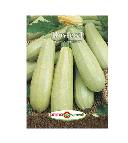 DOVLECEL BIANCO DI TRIESTE 15 GR