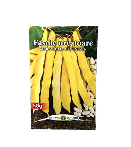 FASOLE URCATOARE MERAVIGLIA DI VENEZIA 50GR