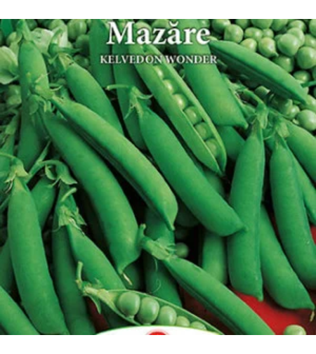 MAZARE KELVEDON WONDER  GRADINA DIN POVESTE 8GR