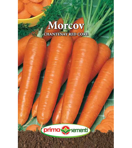 MORCOV CHANTENAY RED CORE 5 GR