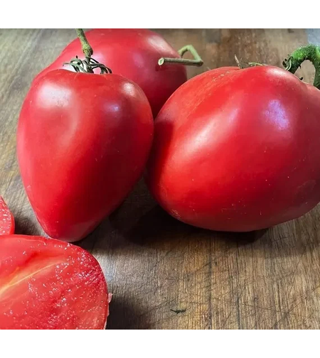 PRIMA SEMENTI TOMATE INIMA DE BOU 0.3GR
