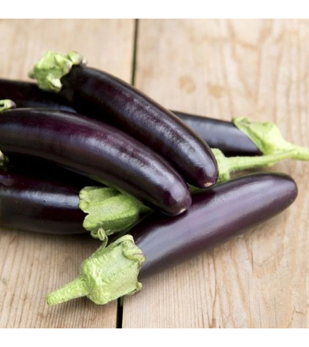 VINETE VIOLETTA LUNGA -2GR
