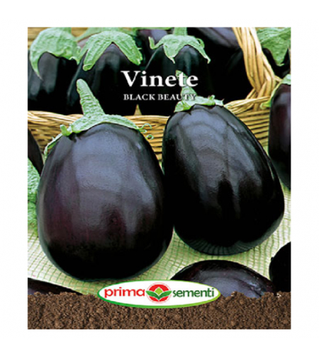 PRIMA SEMENTI VINETE BLACK BEAUTY 2GR
