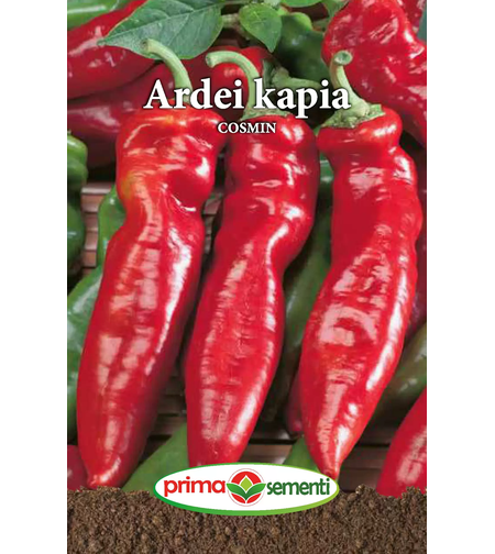 ARDEI KAPIA COSMIN