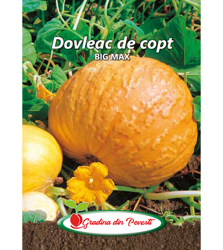 PRIMA SEMENTIS DOVLEAC DE COPT BIG MAX