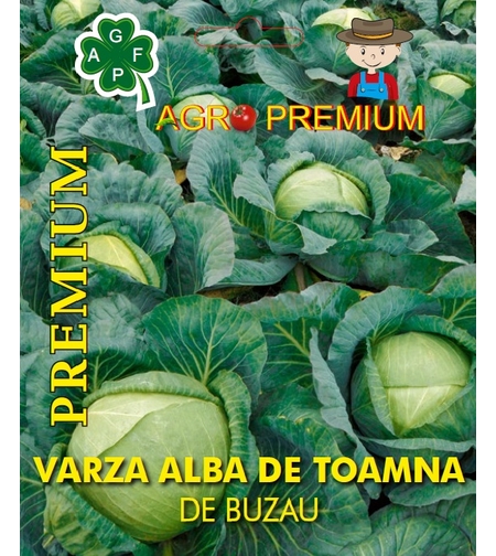VARZA ALBA DE TOAMNA DE BUZAU. 50GR