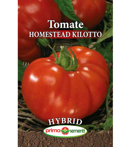 TOMATE HOMESTEAD KILOTTO 0.3 GR