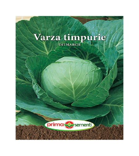 VARZA TIMPURIE GOLDEN ACRE 5GR