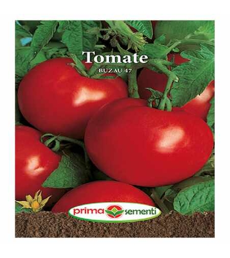TOMATE BUZAU 47 0.3G