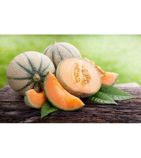 PEPENE GALBEN CANTALUPO 2GR