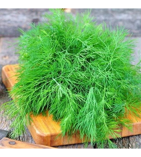 MARAR PRIMA SEMENTI 20 GR