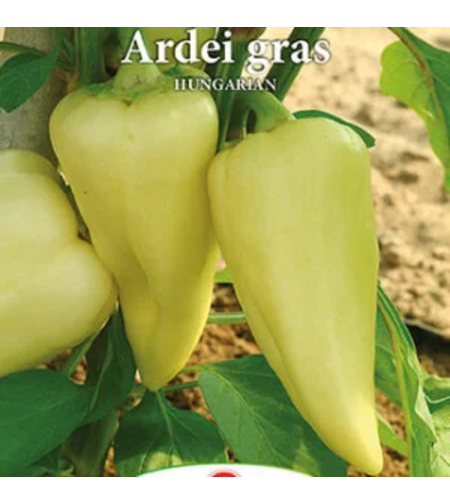 PRIMA SEMENTI ARDEI GRAS HUNGARIANT 0.7GR