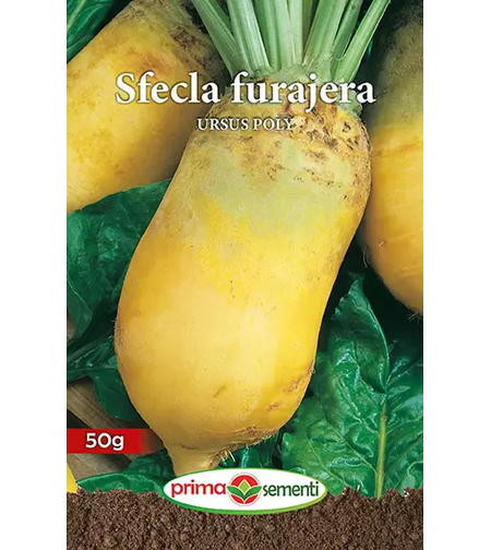 SEMINTE SFECLA FURAJERA URSUS POLY PUNGA 50GR