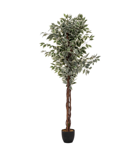 Planta artificiala Atmosphera Ficus cu ghiveci, 97x86x185 cm, verde in doua nunante
