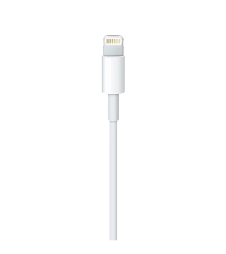Cablu Date Apple Lightning 1m Alb