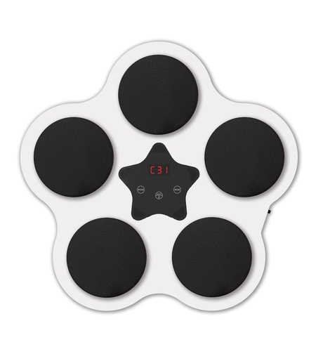 Jucarie de Boxat cu Muzica si Lumini, Flippy, Bluetooth, Incarcare USB, Aplicare cu Ventuze, 5 Tinte, 40x38x8 cm, 930 g, Alb