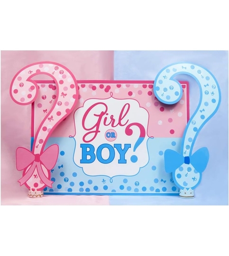 Banner pentru Petrecere, Vafy, Model Girl or Boy, Tematica Gender Reveal, 150 x 100 cm, Albastru Roz