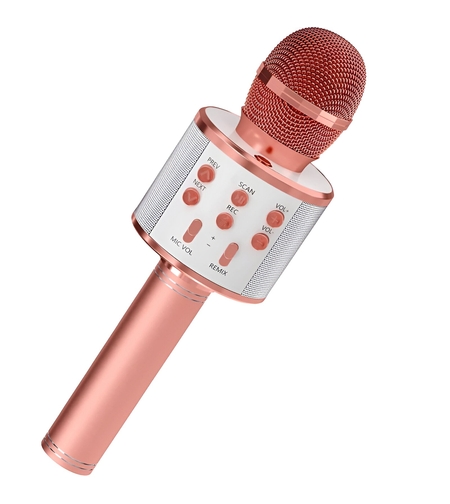 Microfon Karaoke, Flippy, pentru Copii, Bluetooth, Boxa Incorporata, Compatibil cu Orice Smartphone, Acumulator Integrat, Multifunctional, Rose Gold