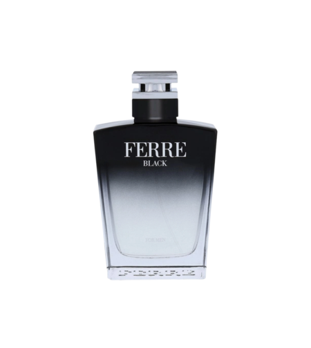 Gianfranco Ferre, Ferre Black, Eau De Toilette, For Men, 100 ml *Tester