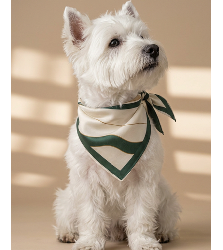 JADE | DOG