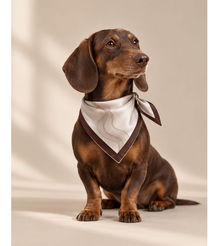 COCO | DOG