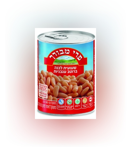 baked bean in tomato sauce