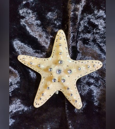 Бяла морска звезда