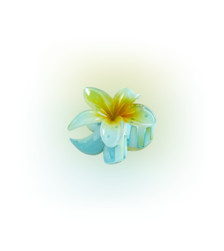 CUSTOM PLUMERIA CLIP in NA’AU