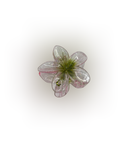 CUSTOM PLUMERIA CLIP in ‘OHA WAI