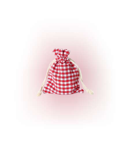 Gift ROUÉ GINGHAM Dust bag