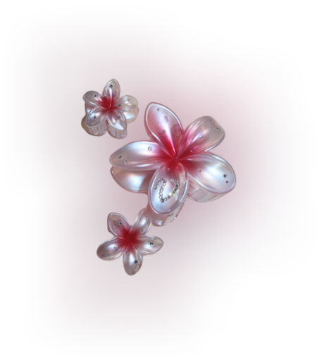 CUSTOM PLUMERIA CLIP set in ROSÉ PERLE