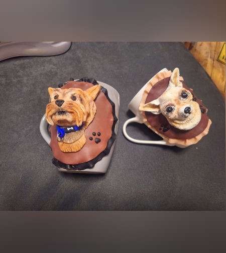 Домашен любимец