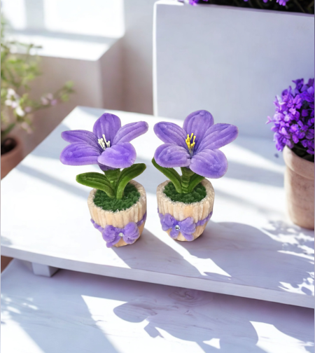 Мини лилия-Purple