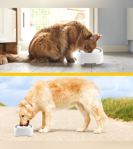 Купа за вода за кучета и котки