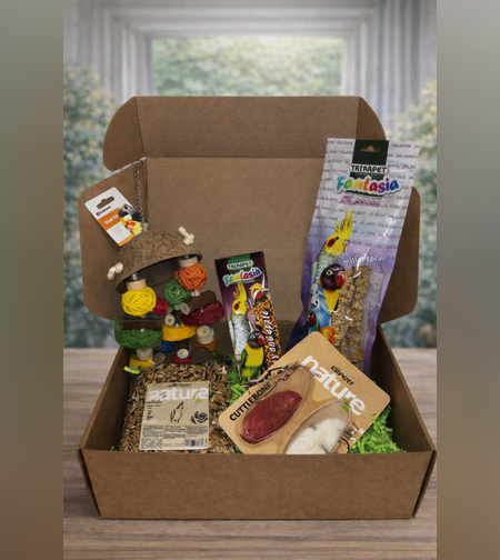 Златната среда-ЯНУАРИ