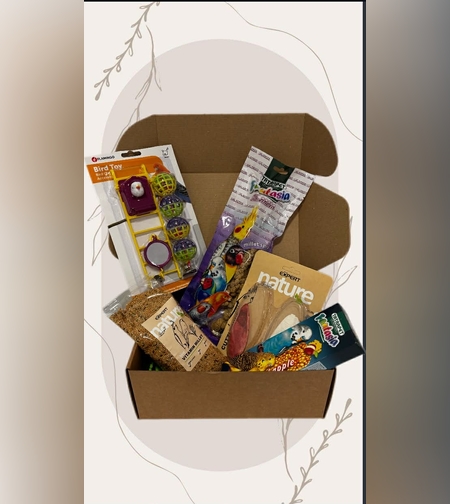 Малкото съкровище- ЯНУАРИ