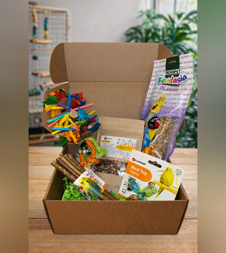 Малкото съкровище