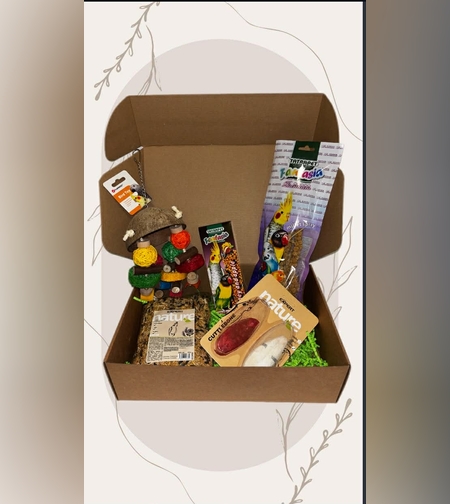 Златната среда-ЯНУАРИ